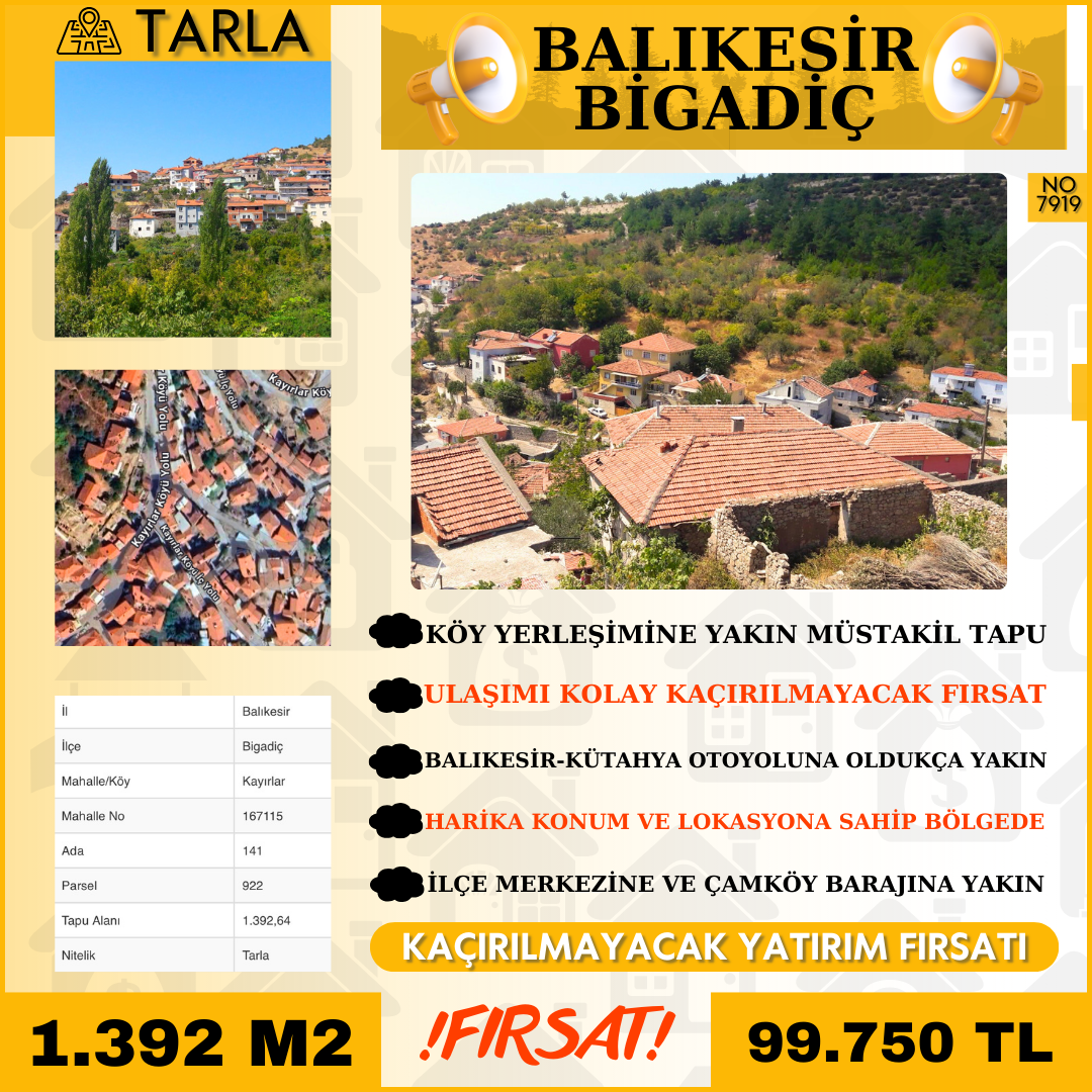 İlan No: 7919